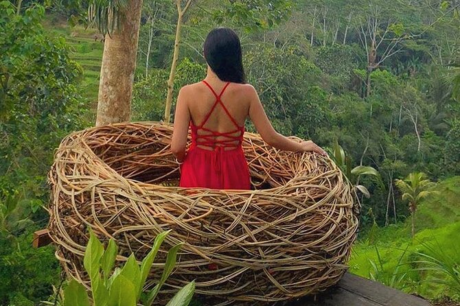 Ubud: Swing - Monkey Forest - Waterfall - Temple - Rice Terraces - Art Crafts - Artisan Crafts in Ubud