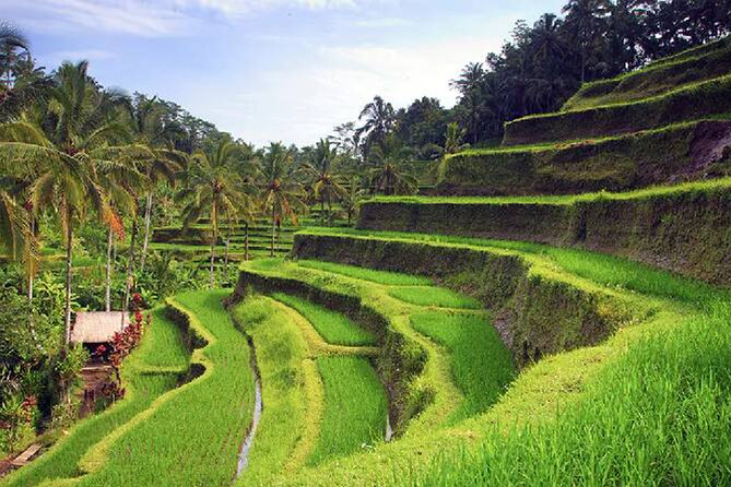 Ubud Tour - Best of Ubud Private Tour With Guide - All Inclusive - Legal Information