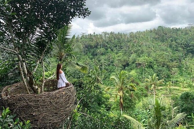 Ubud Waterfall, Rice Terraces, and Swing Explore - Common questions