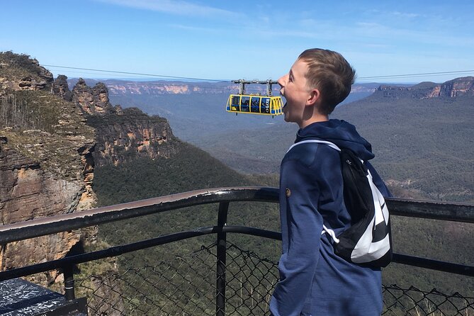 Ultimate Blue Mountains Private Tour With Scenic World and Wildlife Park - Customer Reviews