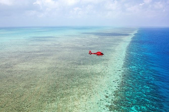 Ultimate Great Barrier Reef and Rainforest 45-minute Helicopter Tour - Common questions