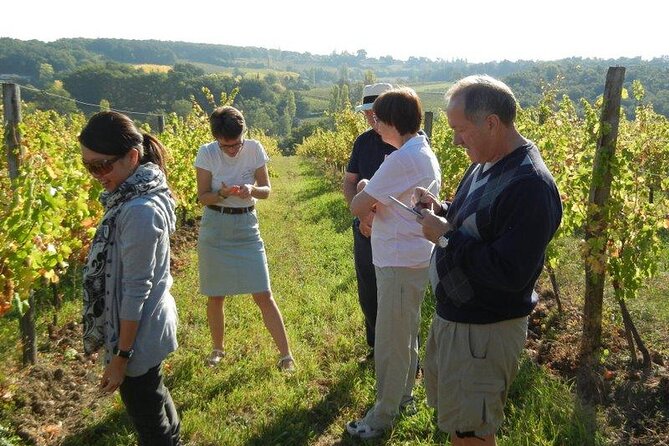 Ultimate Yarra Valley Chandon, Soumah & De Bortoli Cheese & Wine - Recommendations and Tips