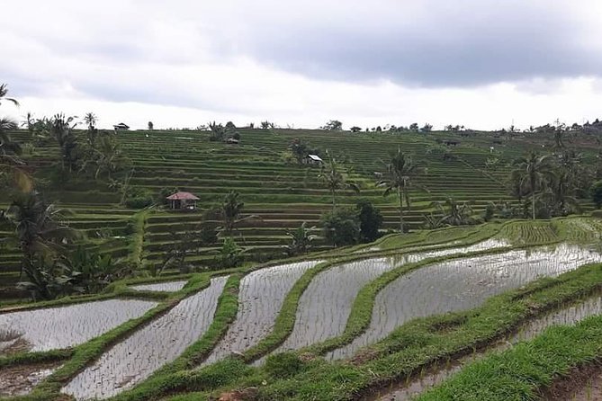 Ulun Danu Bratan Temple & Tanah Lot Private Day Tour - Sum Up