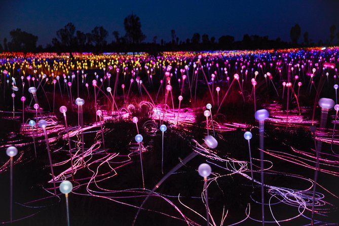 Uluru (Ayers Rock) Field of Light Sunrise Tour - Departure Times and Reconfirmation