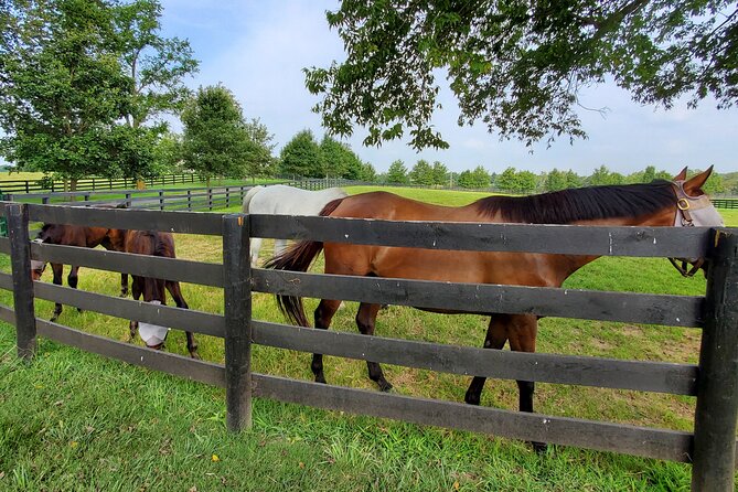 Unique Horse Farm Tours With Insider Access to Private Farms - Additional Information and Resources