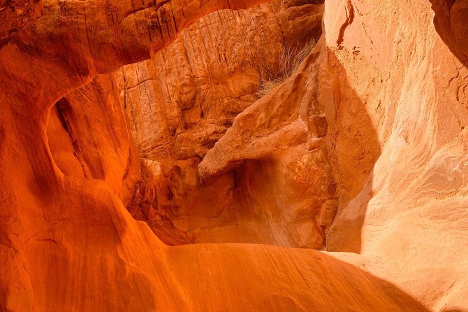 Valley of Fire and Mojave Desert Day Tour From Las Vegas - Recommendations