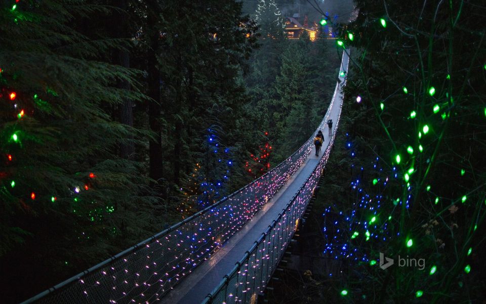 Vancouver: City Tour With Capilano Suspension Bridge - Customer Reviews