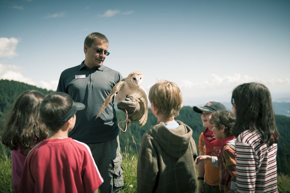 Vancouver: Grouse Mountain Express Tour With Skyride - Sum Up