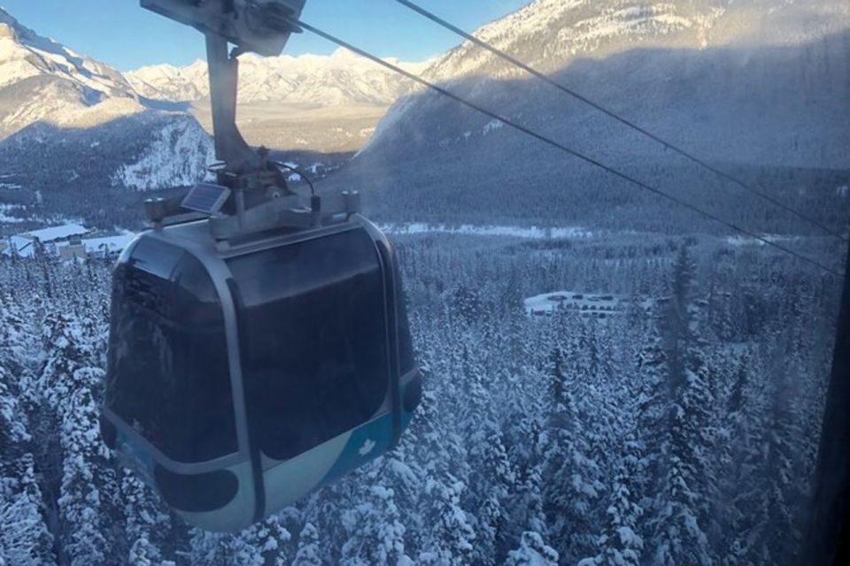 Vancouver Perfect Day Grouse Mountain&Capilano Suspension - Additional Information