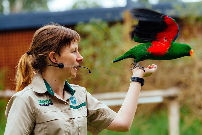 VIP Sanctuary Tour at Healesville Sanctuary - Excl. Entry - Sum Up