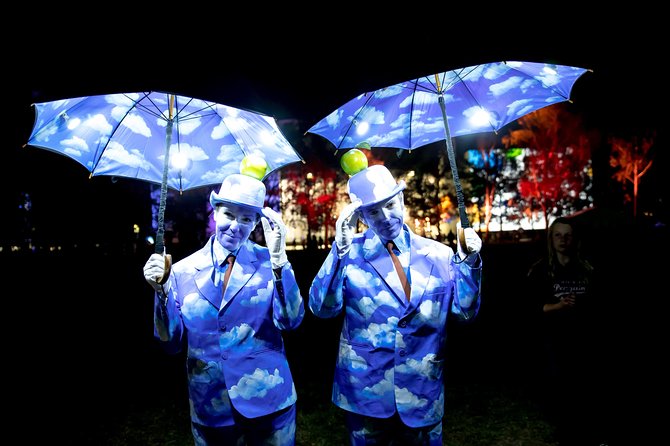 Vivid Sydney Light & Photography Tour - Inclusions & Logistics