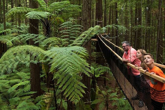 Wai-O-Tapu to Redwoods and Secret Spot - Capturing Unforgettable Moments