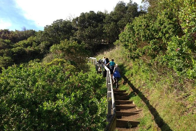 Waiheke Island Private Guided Te Ara Hura Walk - Cancellation Policy