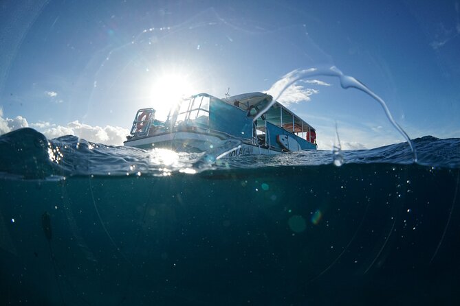 Waikiki Snorkel Tour - Booking Information