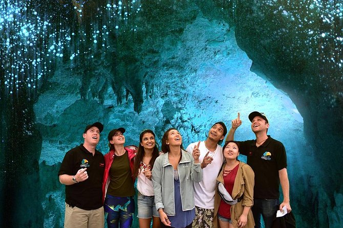 Waitomo Caves & Hobbiton Small Group Tour From Auckland - Pricing and Additional Information