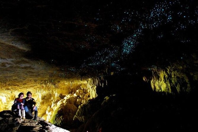 Waitomo Glowworm Caves and Auckland City Tour a Day Trip - Group Size Options