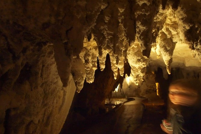 Waitomo Glowworm Caves In a Private Small Group Tour-Auckland. - Common questions