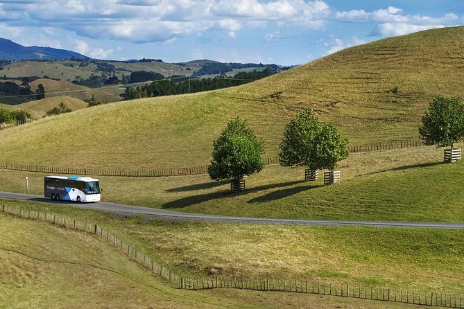 Waitomo & Hobbiton Guided Tour Departing Auckland - Common questions
