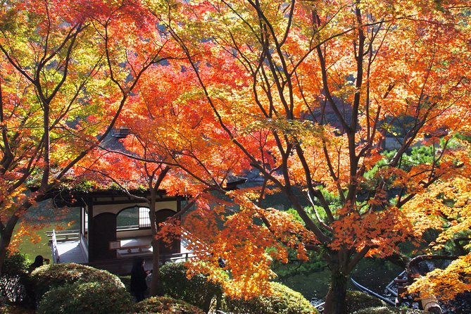 Wakayama Castle Town Walking Tour - Weather Considerations