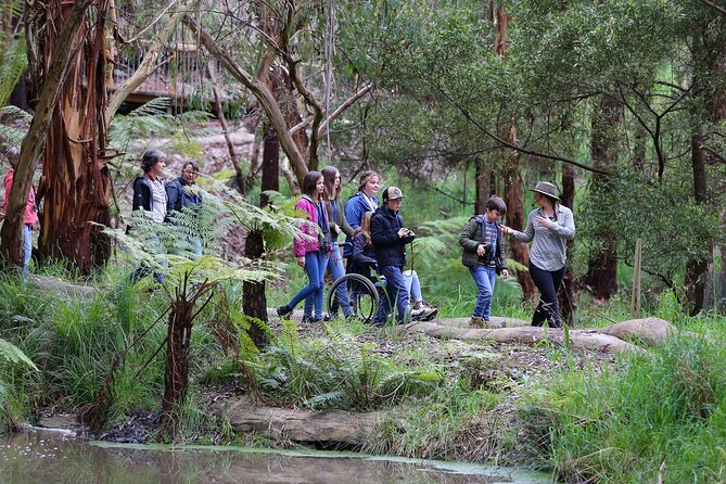 Walk With Wildlife: Guided Tour in Great Ocean Road - Common questions