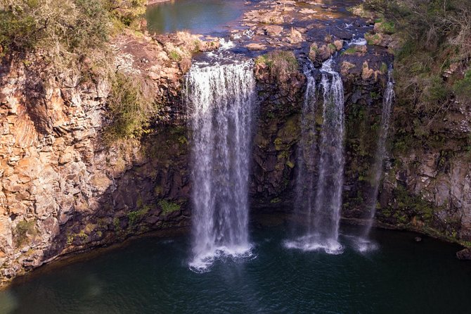 Waterfall, Rainforest & Winery Discovery Tour: Coffs Harbour - Booking Details