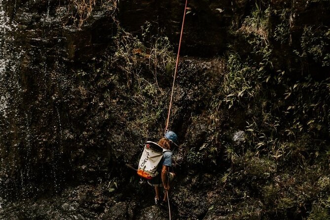 Waterfall Rappelling at Kulaniapia Falls: 120 Foot Drop, 15 Minutes From Hilo - Sum Up