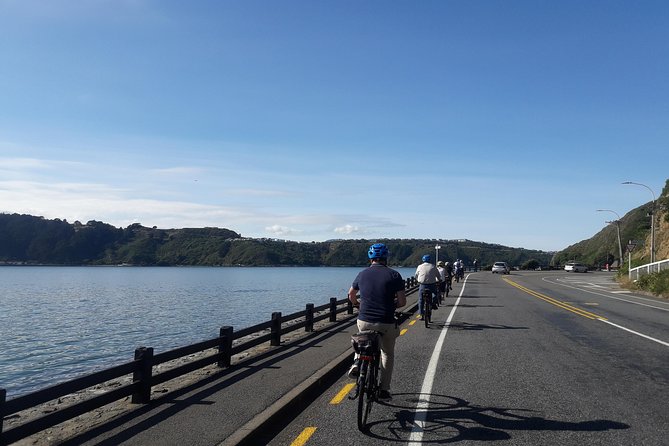 Wellington Electric Bike Tour - Customer Feedback and Reviews