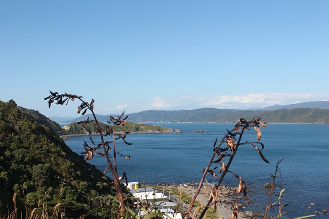 Wellington Scenic Full Day Tour - Booking Information