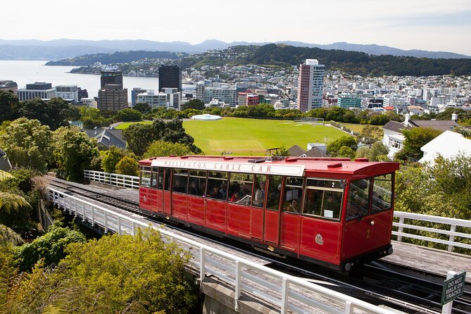 Wellington Shore Excursion City Sightseeing Tour - Sum Up