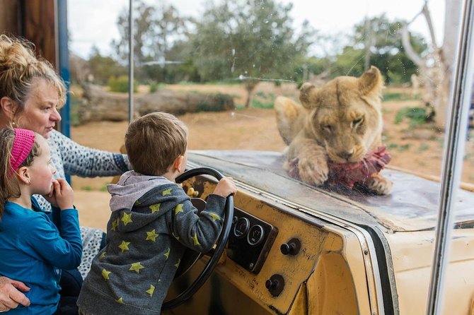 Werribee Open Range Zoo General Admission Ticket - Experience Highlights