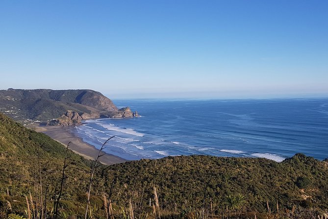 West Coast Discovery - Piha Beach or Muriwai Beach From Auckland - Directions and Logistics