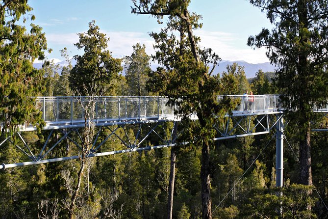 West Coast Tree Top Walk Experience - Directions and Location Details