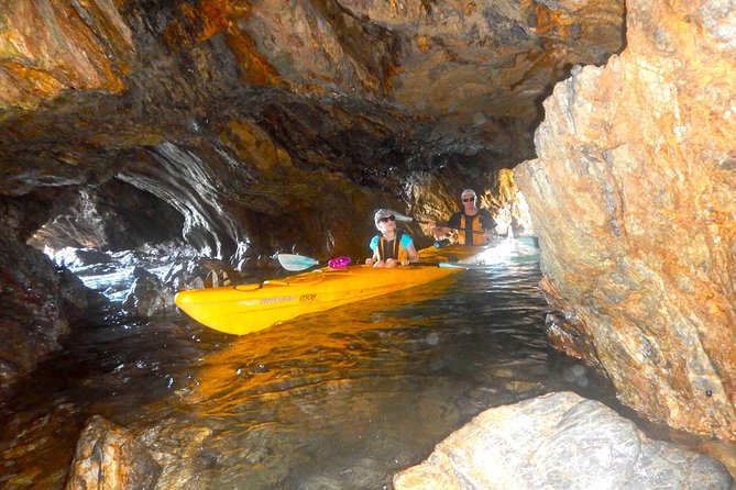 Whale Watching by Sea Kayak in Batemans Bay - Sum Up