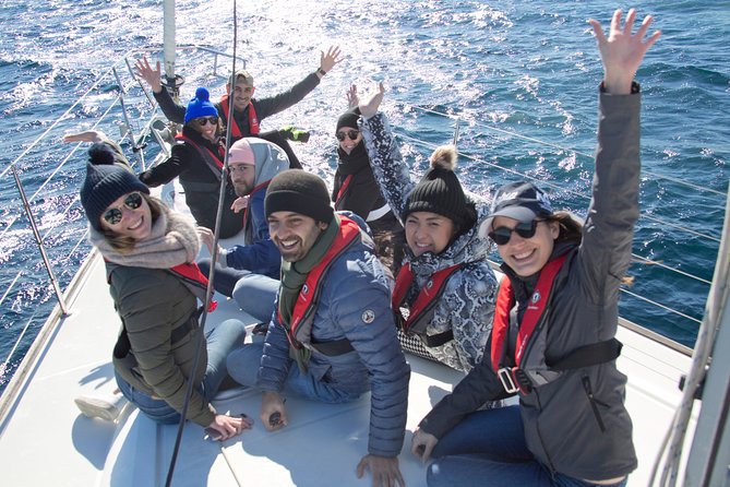 Whale Watching Sailing Experience in Sydney - Sum Up and Recommendations