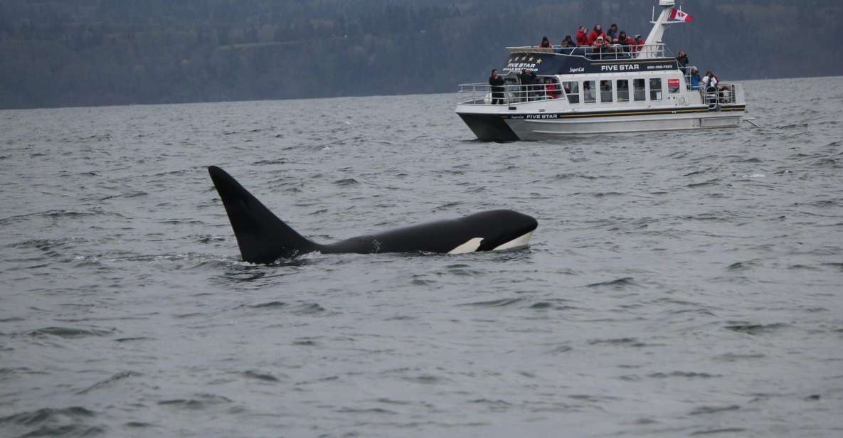 Whale Watching Tour in Victoria, BC - Tour Departure Location