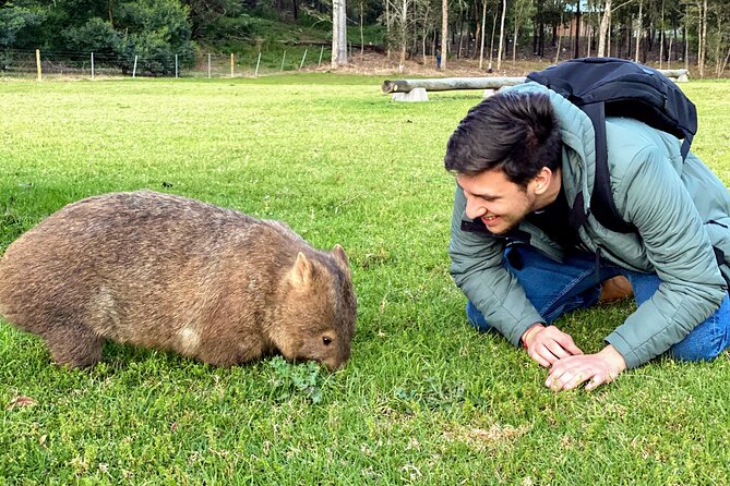 Wild Wombat and Kangaroo Day Tour From Sydney - Common questions