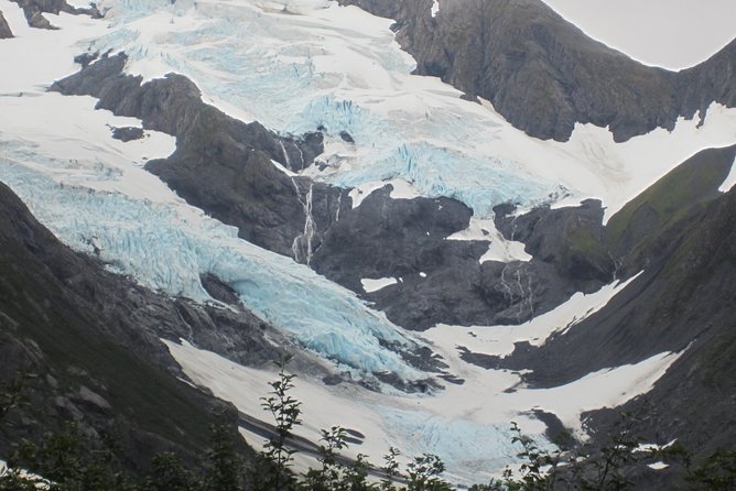 Wildlife and Glaciers With a Walk in the Rainforest - Rainforest Hike for Adventure Seekers