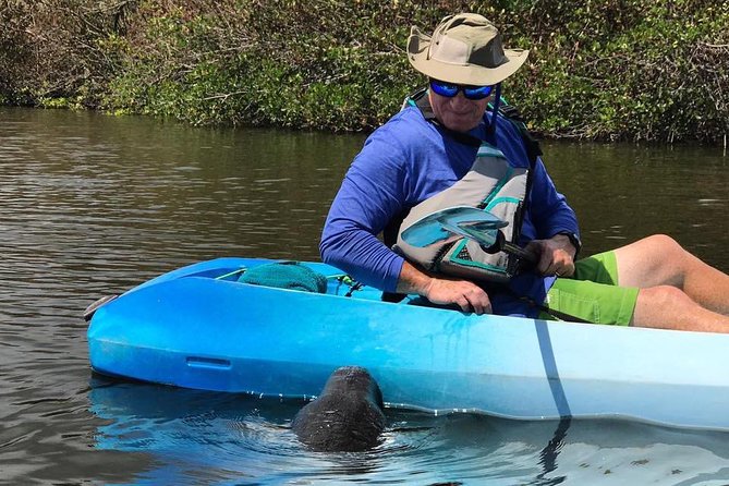 Wildlife Refuge Manatee, Dolphin & Mangrove Kayak or Paddleboarding Tour! - Customer Experiences