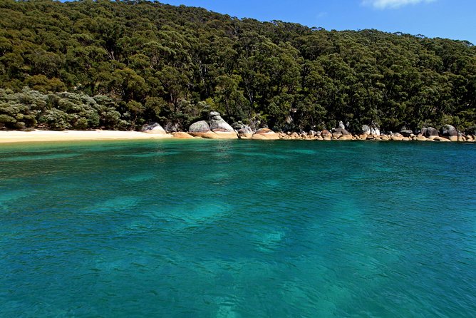Wilsons Promontory Full Day Cruise - Customer Reviews and Ratings