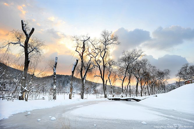 Winter Fun at Vivaldi Ski Resort With Romantic Winter Scenery at Nami Island - Travel Tips and Recommendations