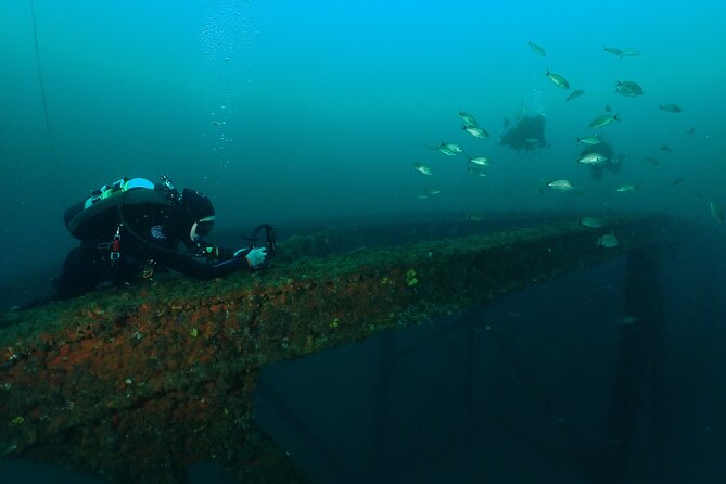 Wreck and Bridge Span Dive Charter for Certified Divers - Cancellation Policy