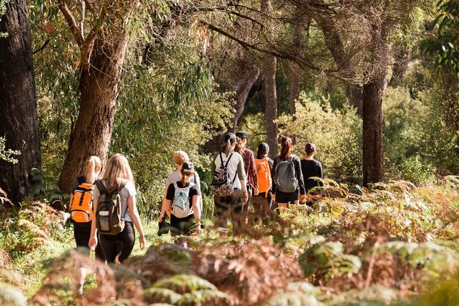 Yanchep Ultimate Adventure Guided Hike Tour - Koala Boardwalk Experience