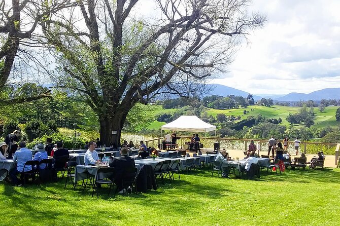 Yarra Valley Smaller Wineries Food and Wine Tour - Customer Reviews