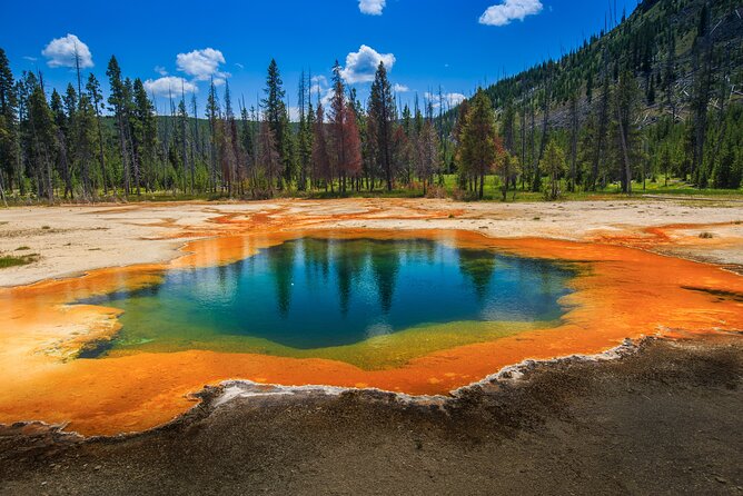 Yellowstone and Grand Teton National Parks Wildlife Adventure (2 Day/1 Night) - Tour Starting Details