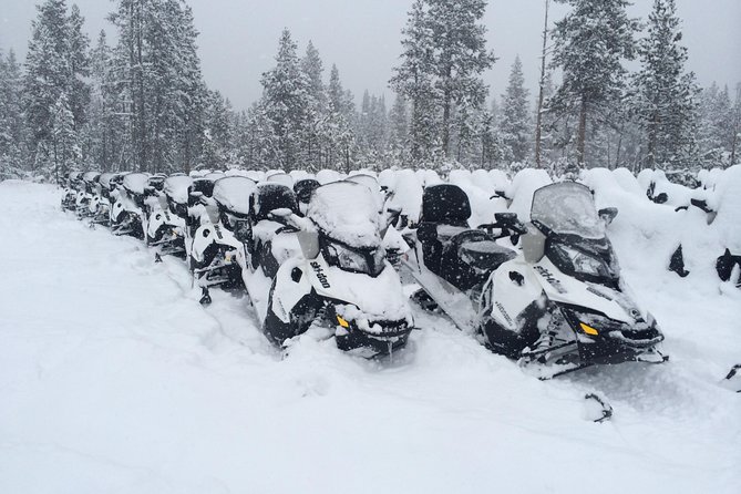 Yellowstone Old Faithful Full-Day Snowmobile Tour From Jackson Hole - Common questions