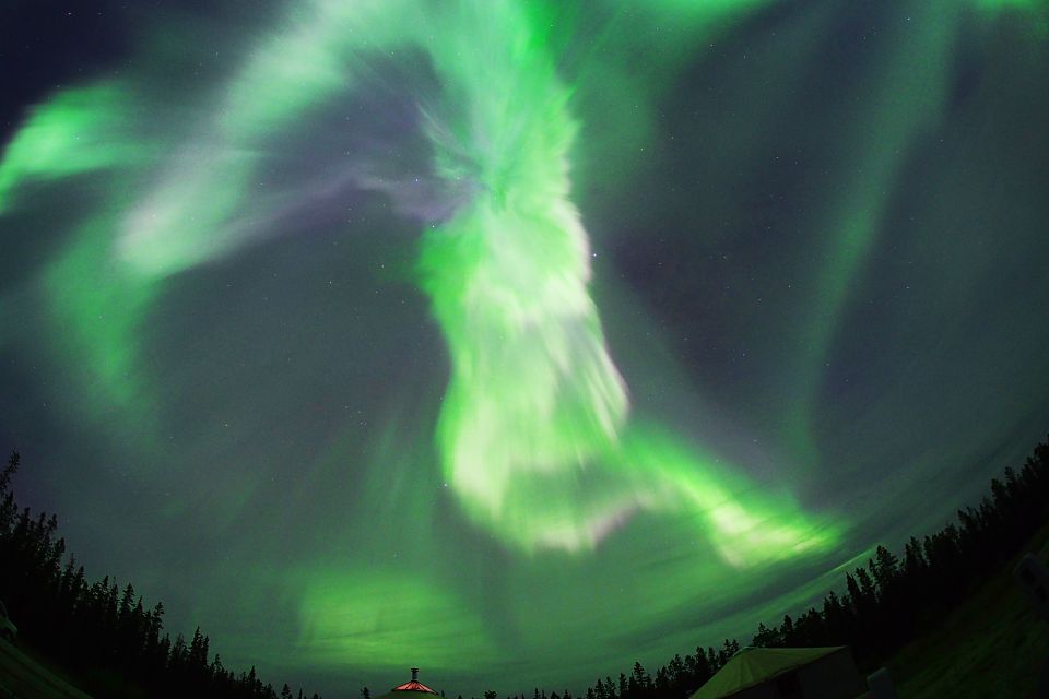 Yukon: Aurora Borealis Late Night Viewing Tour - Free Cancellation Policy