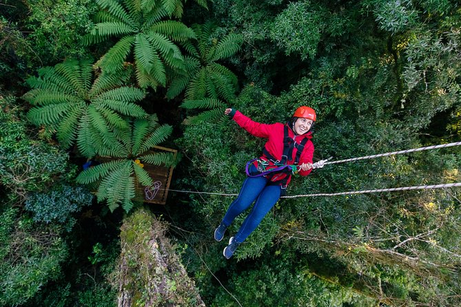 Ziplining Forest Experience - The Ultimate Canopy Tour Rotorua - Tandem Line Option Popularity