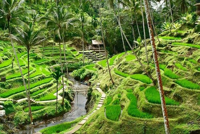 6 Days Best Of Bali And Nusa Penida All Inclusive Private Tour - Tour Itinerary Highlights