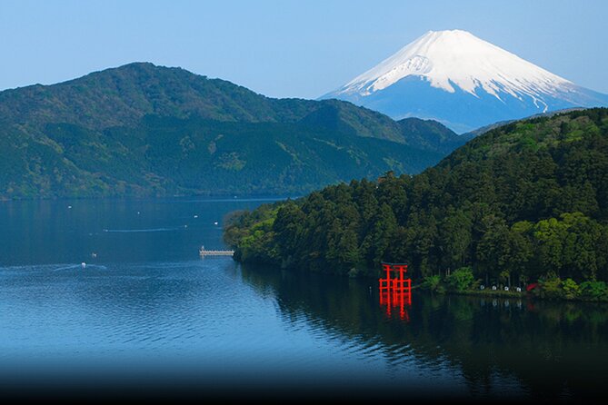 1 Day Private Tour in Mt.Fuji and Hakone English Speaking Driver - Contact Information