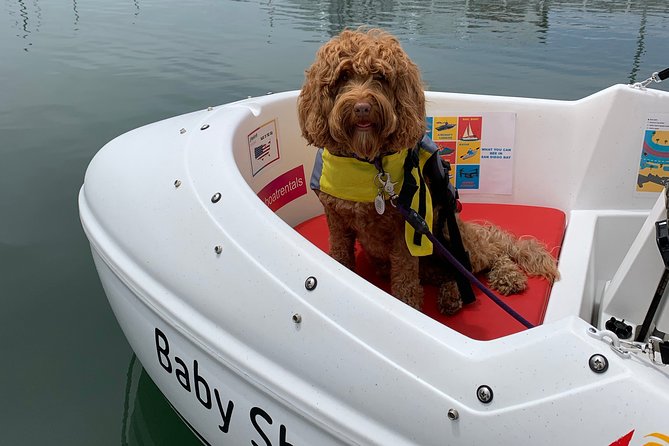 1 Hour Pedal Boat Rental in San Diego: Day or Night Glow Options - Safety Tips and Instructions